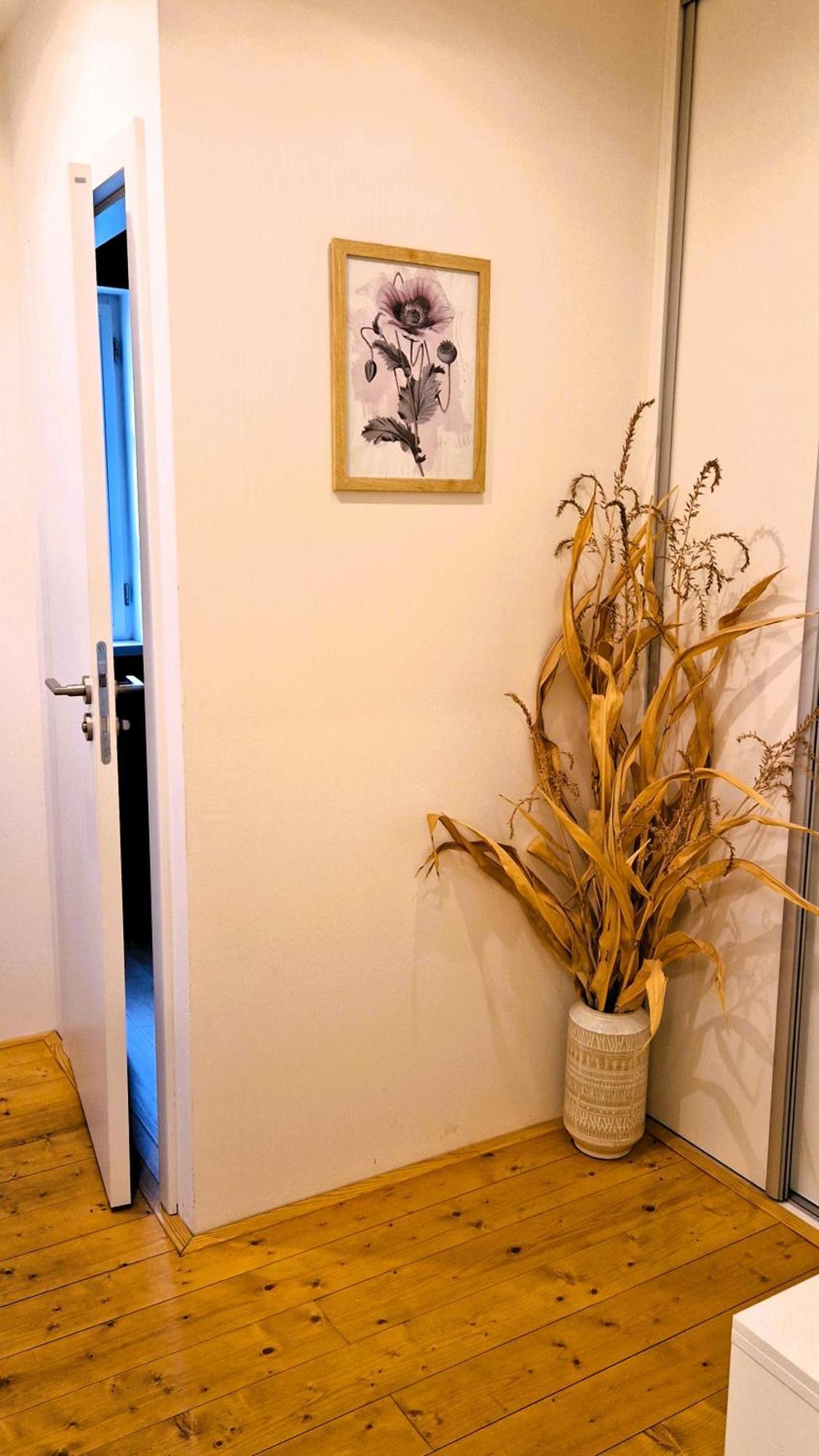 Apartmany Vcelin Brniste Exteriér fotografie