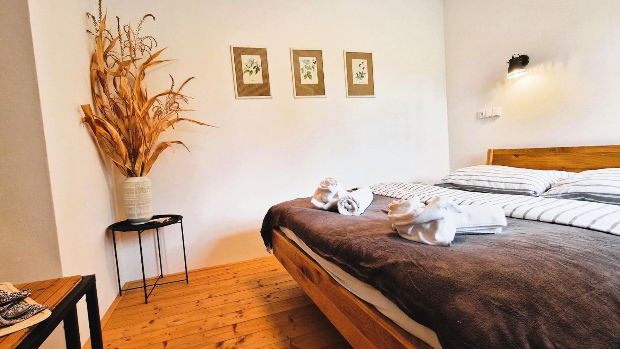 Apartmany Vcelin Brniste Exteriér fotografie